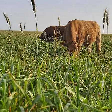 Monte Bagao - Vila do Bispo